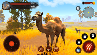 The Camel screenshot 8