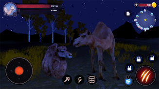 The Camel screenshot 6