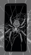 Spider Wallpapers screenshot 4