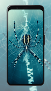 Spider Wallpapers screenshot 7