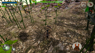 Ant Simulation 3D - Insect Sur screenshot 4