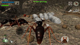 Ant Simulation 3D - Insect Sur screenshot 3