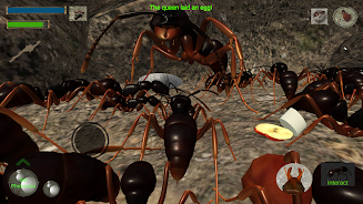 Ant Simulation 3D - Insect Sur screenshot 1