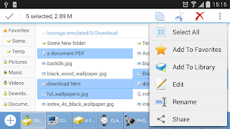 Computer File Explorer screenshot 1