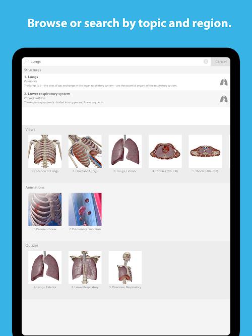 Human Anatomy Atlas 2023 screenshot 5