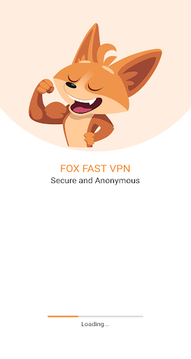 Fox Pro VPN screenshot 2