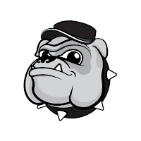 Bulldog VPN - Unlimited VPN APK