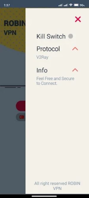 Robin VPN screenshot 3