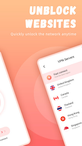 MobaVPN screenshot 2