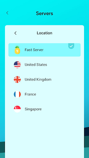 Pineapple VPN screenshot 2