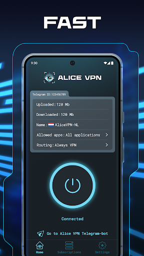 Alice VPN screenshot 1