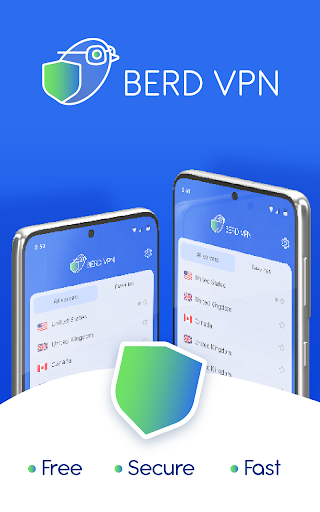 BerdVPN screenshot 1