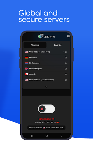 BerdVPN screenshot 2