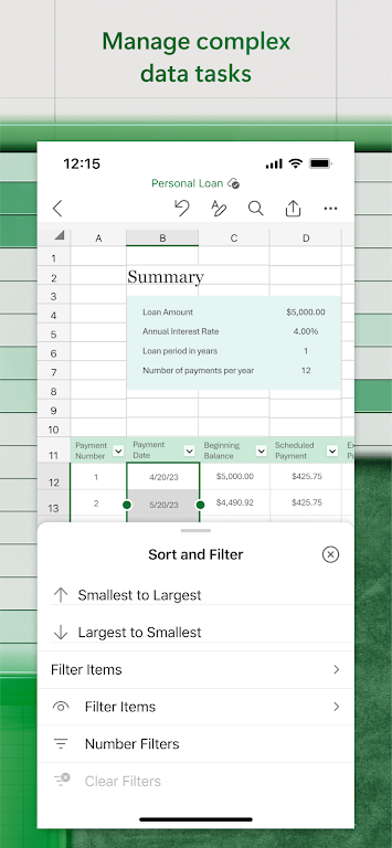 Microsoft Excel screenshot 4