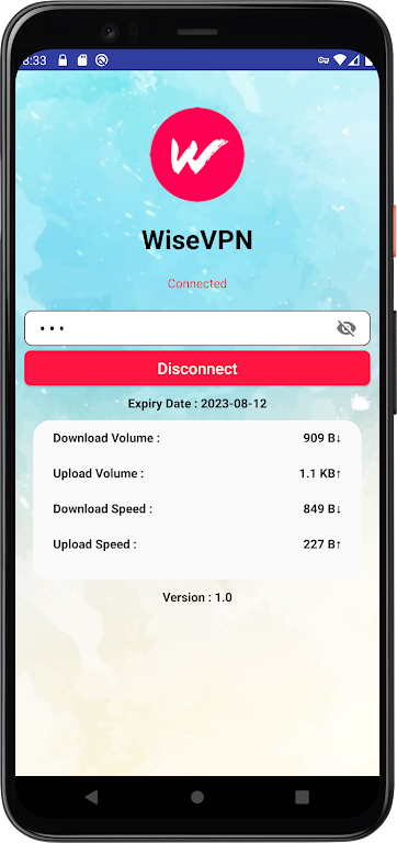 WiseVPN screenshot 2