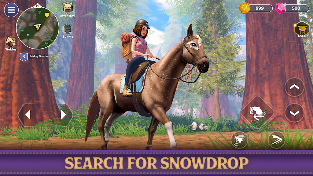 Star Equestrian - Horse Ranch screenshot 3