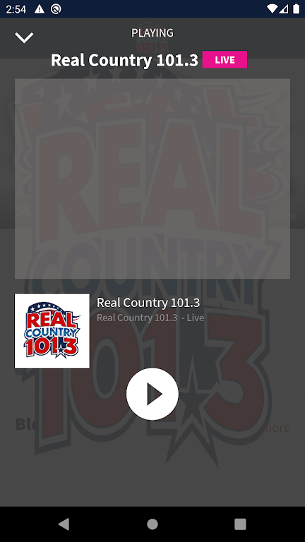 101.3 Real Country screenshot 2