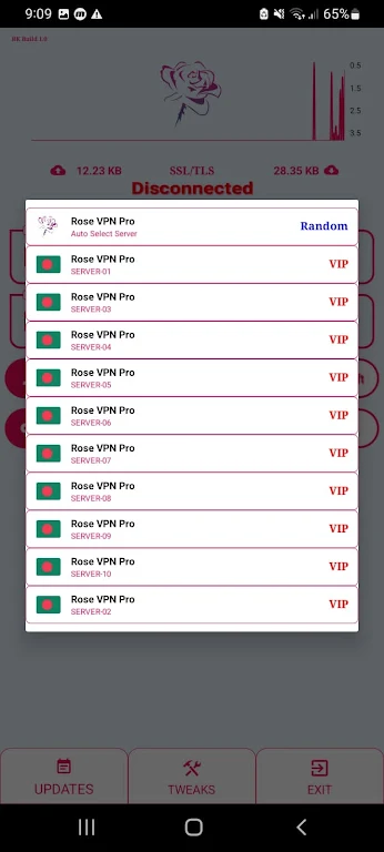 Rose vpn Pro screenshot 3