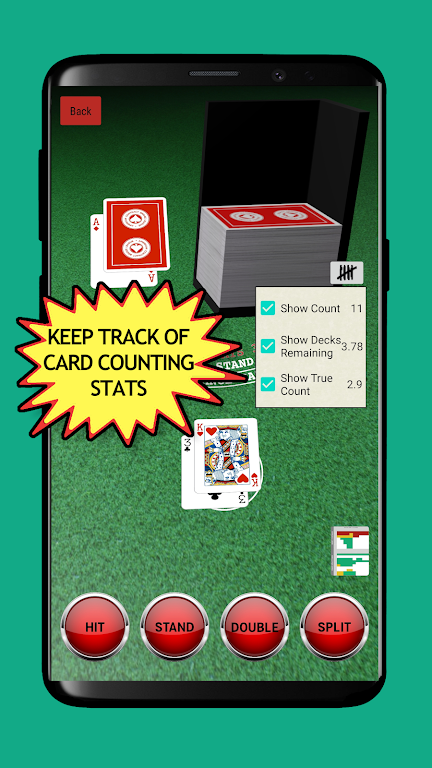 Blackjack Card Counting screenshot 2