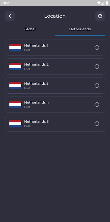 Netherlands VPN: Secure & Fast screenshot 3