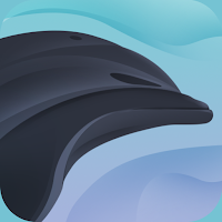 Dolphine vpn APK