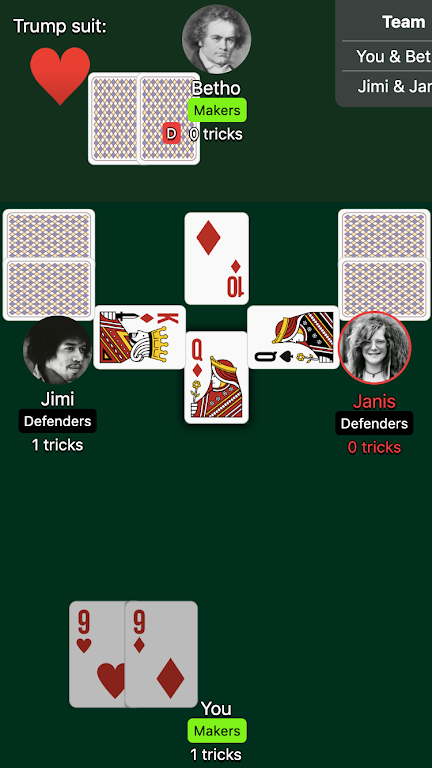 Euchre Card Game screenshot 1