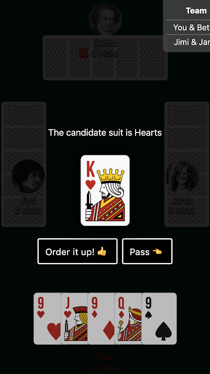 Euchre Card Game screenshot 2