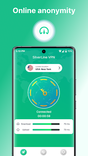 SilverLine VPN screenshot 2