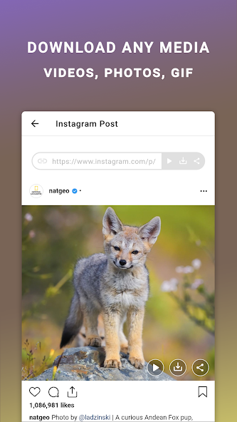 Friendly For Instagram Mod screenshot 2