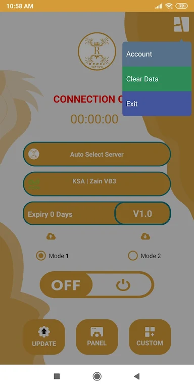 Rubel VIP VPN screenshot 3