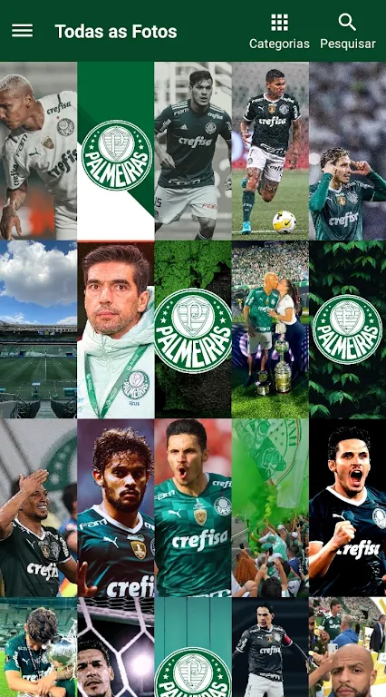 Palmeiras Papel de Parede - HD screenshot 1