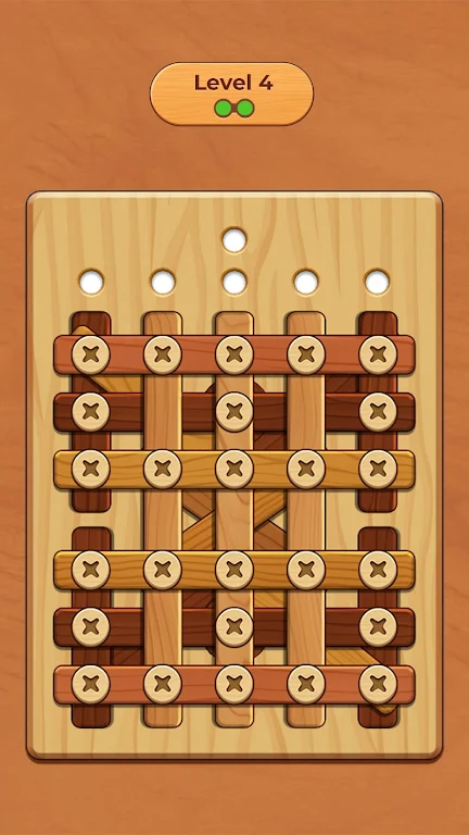 Wood Screw Puzzle Mod screenshot 2