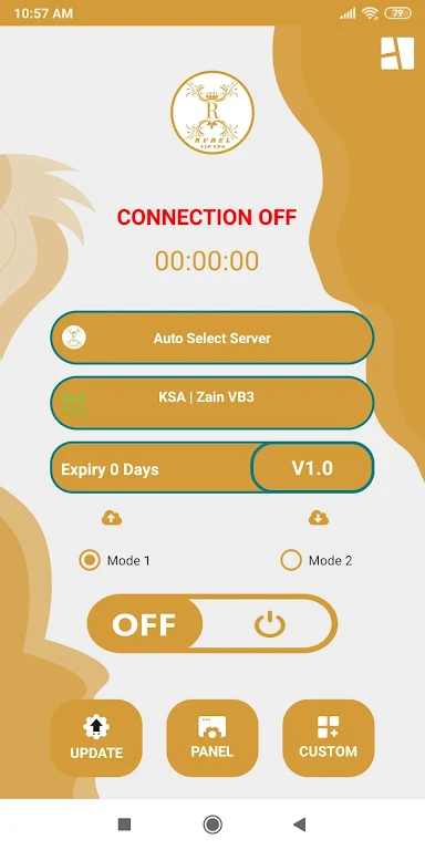 Rubel VIP VPN screenshot 2