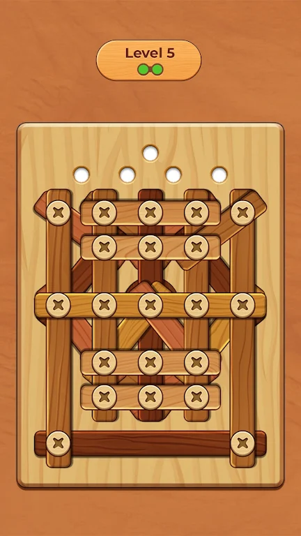 Wood Screw Puzzle Mod screenshot 1