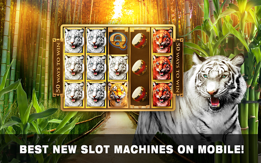 Slots Tiger King Casino Slots screenshot 3