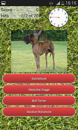 Dog Breeds Quiz screenshot 4