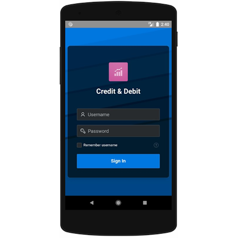 Credit Debit screenshot 1