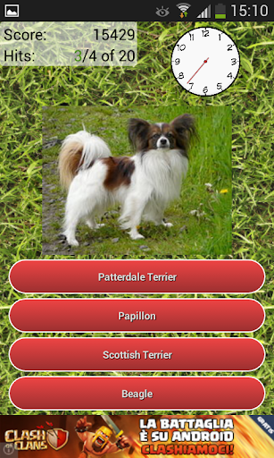 Dog Breeds Quiz screenshot 3