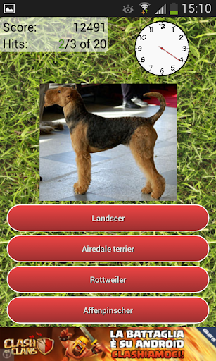 Dog Breeds Quiz screenshot 2