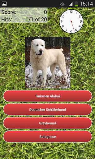 Dog Breeds Quiz screenshot 1