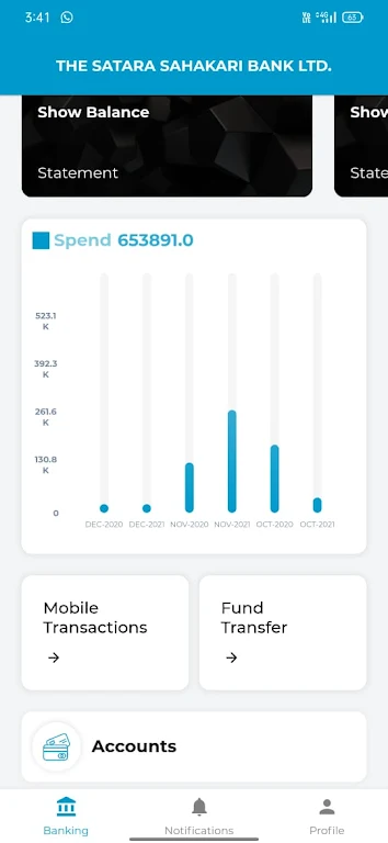 Satara Bank screenshot 4