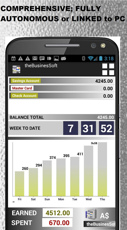 Small Business Accounting PRO screenshot 1