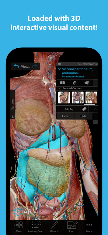 Human Anatomy Atlas 2024 Mod screenshot 1