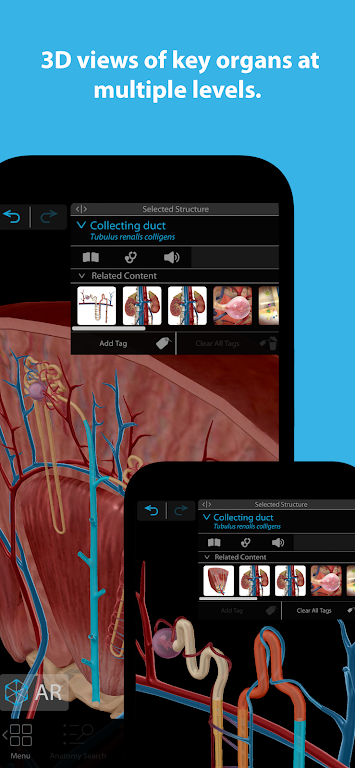 Human Anatomy Atlas 2024 Mod screenshot 2