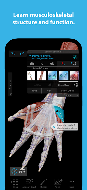 Human Anatomy Atlas 2024 Mod screenshot 3