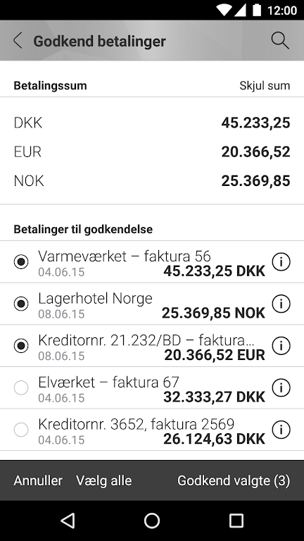 Mobilbank Erhverv screenshot 4