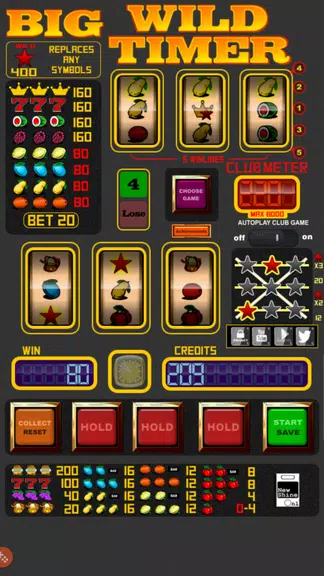 Big Wild Timer Slot Machine - screenshot 4