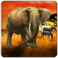 Safari Tour Slot