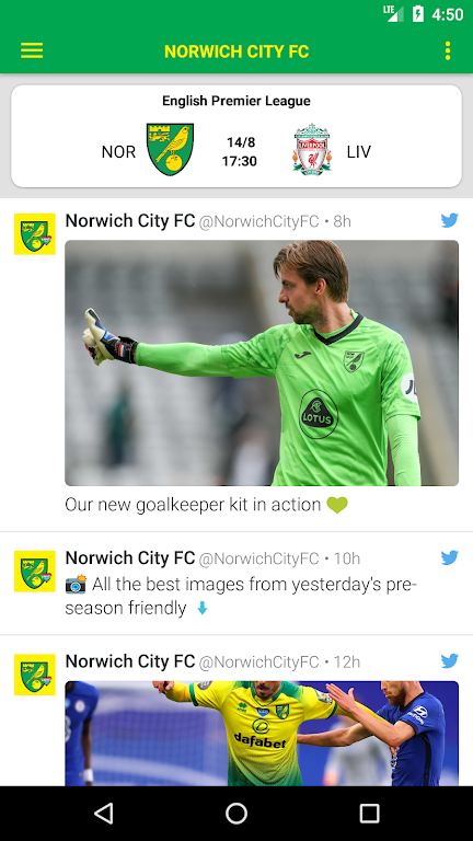 Norwich Canaries screenshot 1