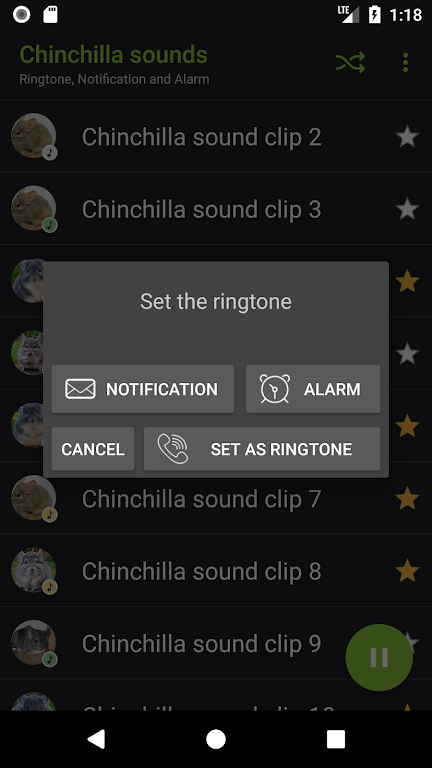 Chinchilla sounds screenshot 4